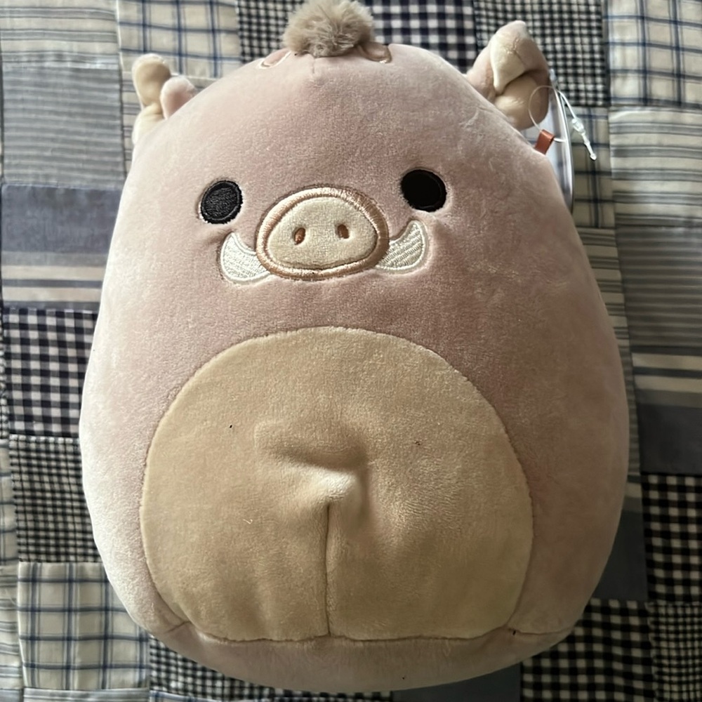 🔥🆕 Warren the Boar Squishmallow